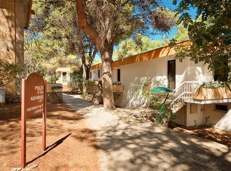 Chorvátsko, ostrov Hvar, Jelsa - hotelový komplex Fontana Resort - pavilóny